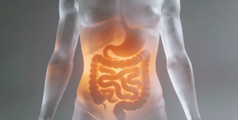 南京肠癌甲基化检测图片1